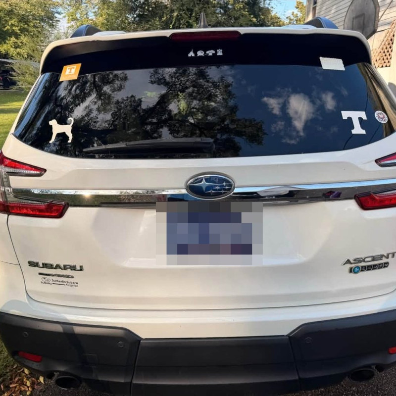 After: Subaru Ascent: Rear hatch and bumper